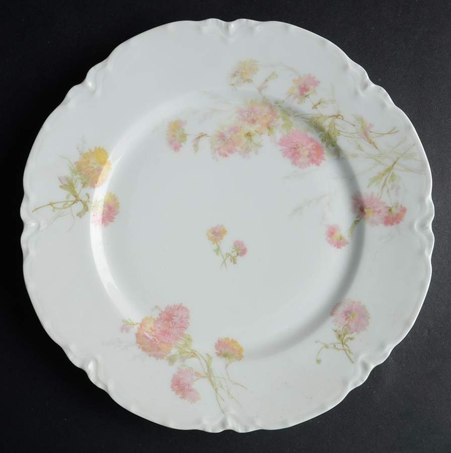 Schleiger 664c Dinner Plate by Haviland-1