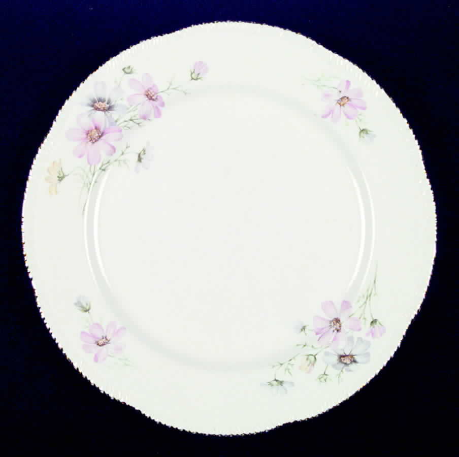 HLC1012 Dinner Plate by Homer Laughlin -1