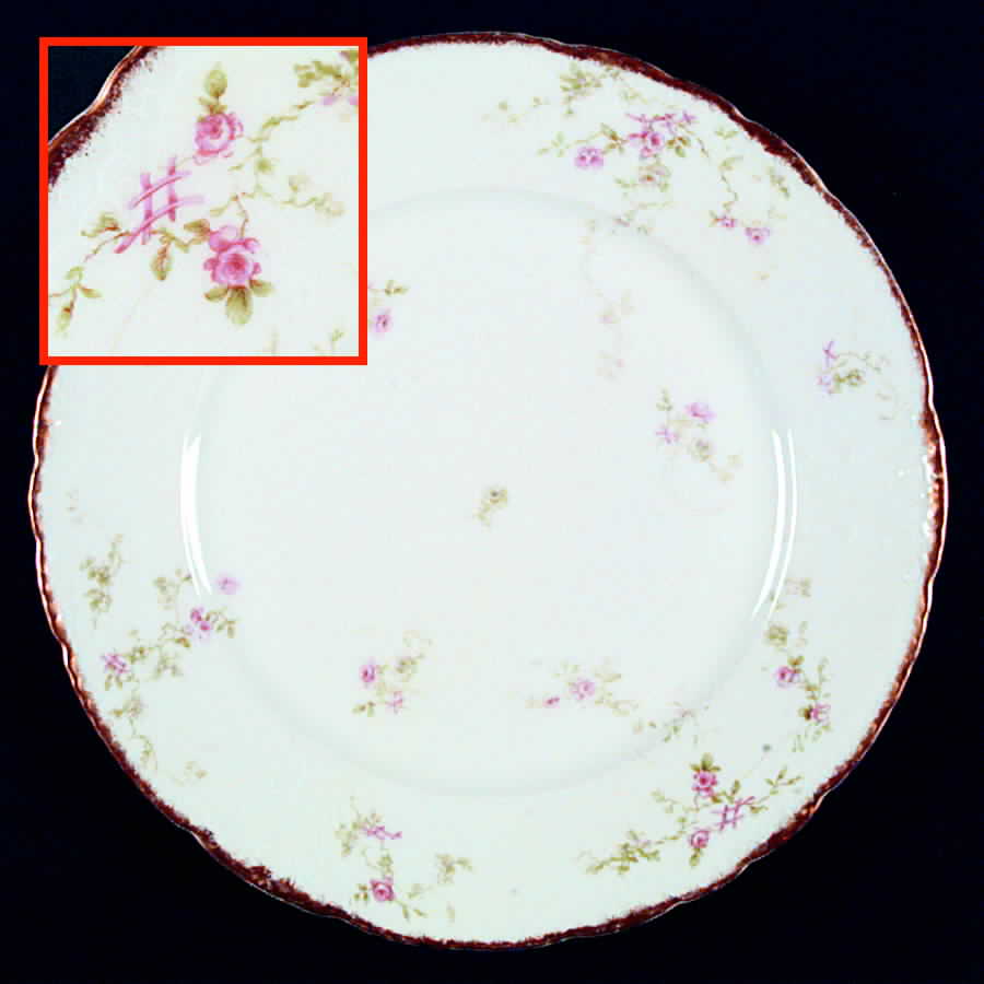 H1009 Dinner Plate by Haviland-1