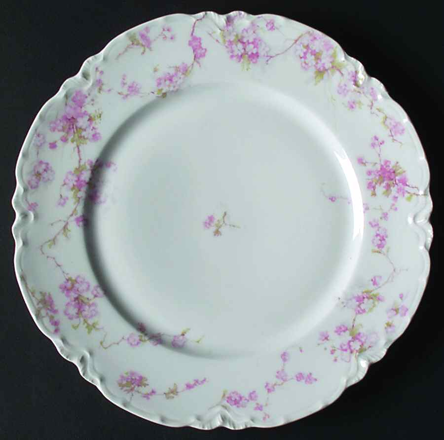 Schleiger 248-3 Dinner Plate by Haviland-1