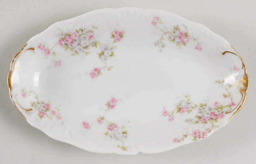 Schleiger 320e (Scalloped) Relish by Haviland-1