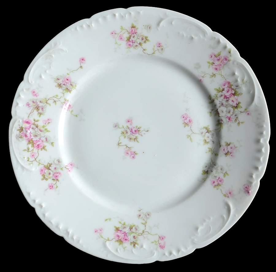 Schleiger 320e (Scalloped) Salad Plate by Haviland-1