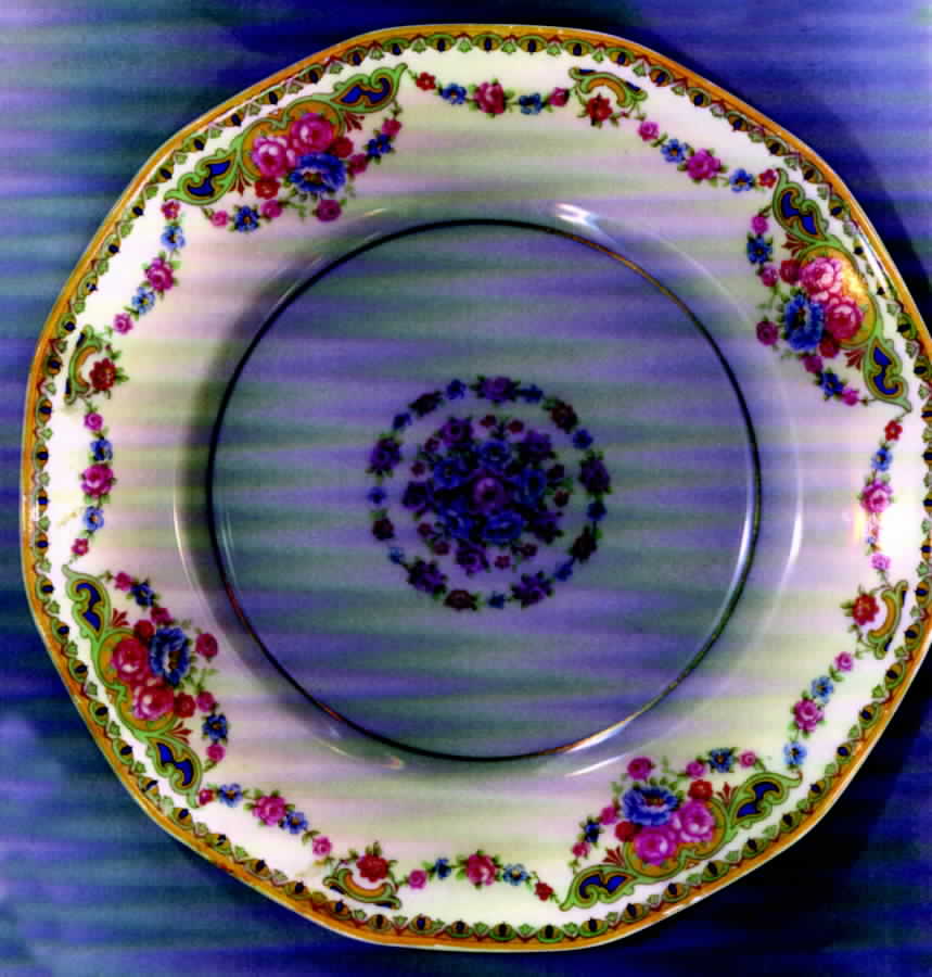 H128 Salad Plate by Haviland-1