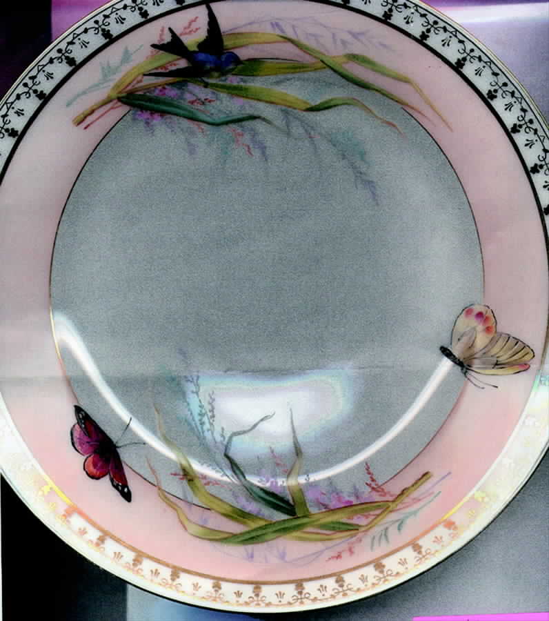 H1023 Dinner Plate by Haviland-1