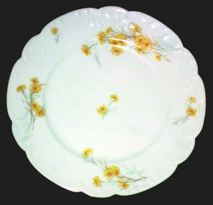Schleiger 431-1 Dinner Plate by Haviland-1