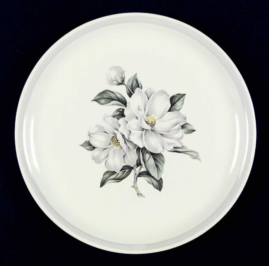 D10 Dinner Plate by Homer Laughlin -1