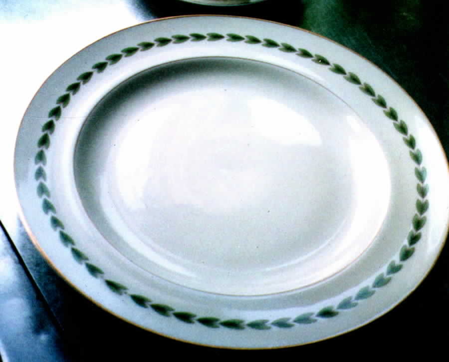 Burgoyne Dinner Plate by Haviland-1