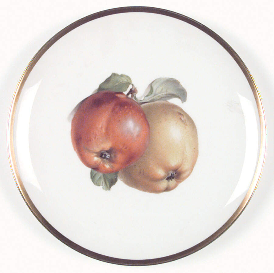 HUT749 Salad Plate by Hutschenreuther-1
