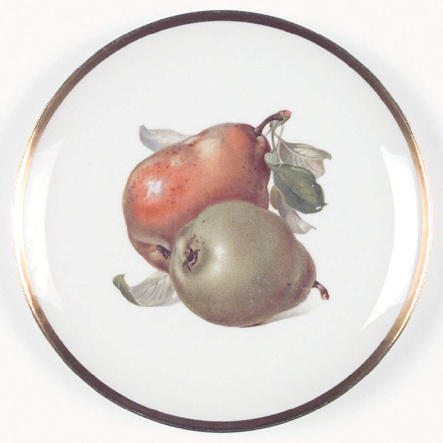 HUT749 Salad Plate by Hutschenreuther-1