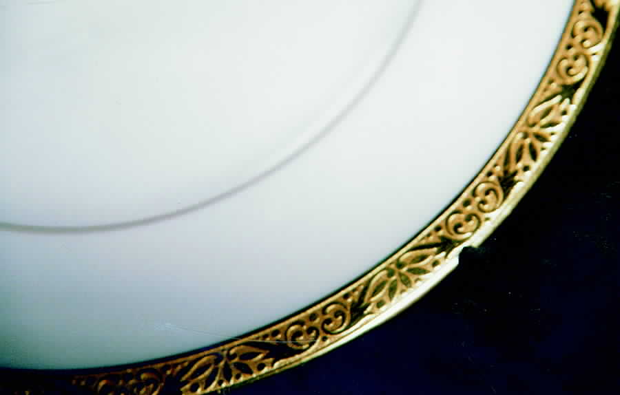 28065 Dinner Plate by Hutschenreuther-1
