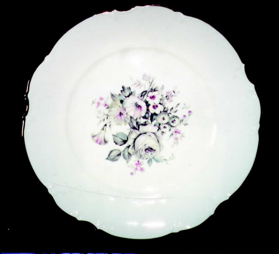 HUT754 Dinner Plate by Hutschenreuther-1