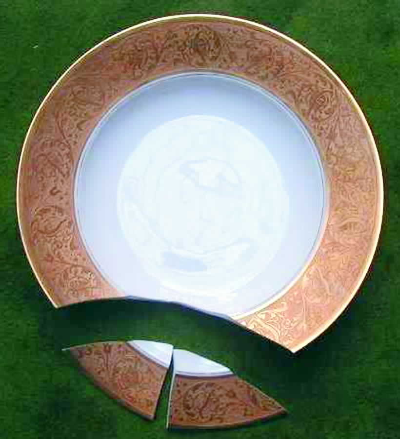 HUT755 Dinner Plate by Hutschenreuther-1