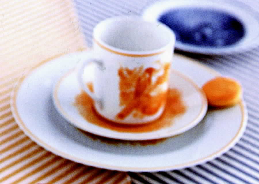 Animalia Ambre Flat Cup & Saucer Set by Hermes-1