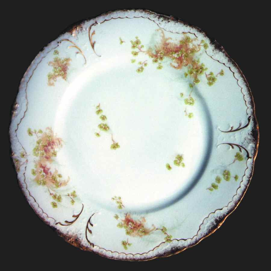 Schleiger 836f Dinner Plate by Haviland-1