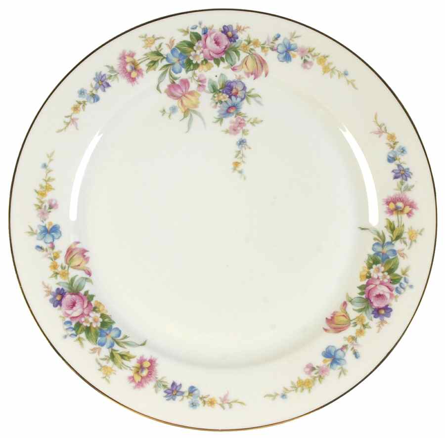 HWC5 Dinner Plate by HW (Germany, Czech)-1