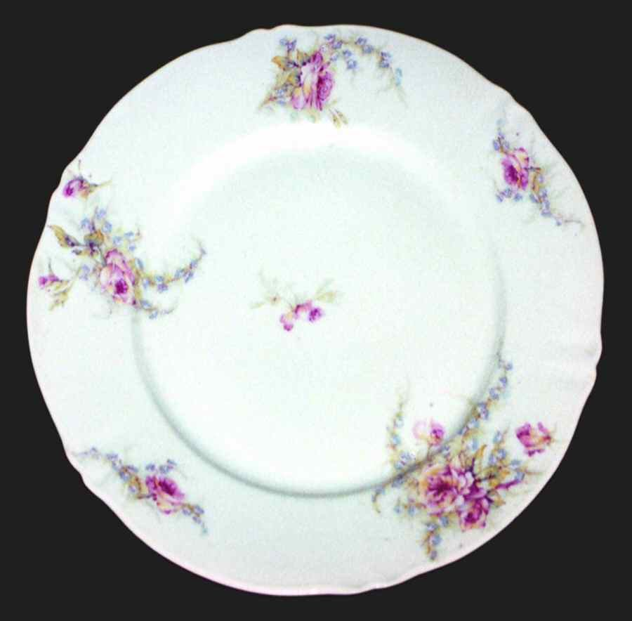 H1043 Dinner Plate by Haviland-1