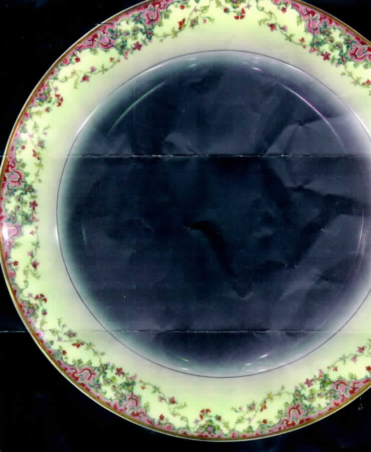H1044 Dinner Plate by Haviland-1