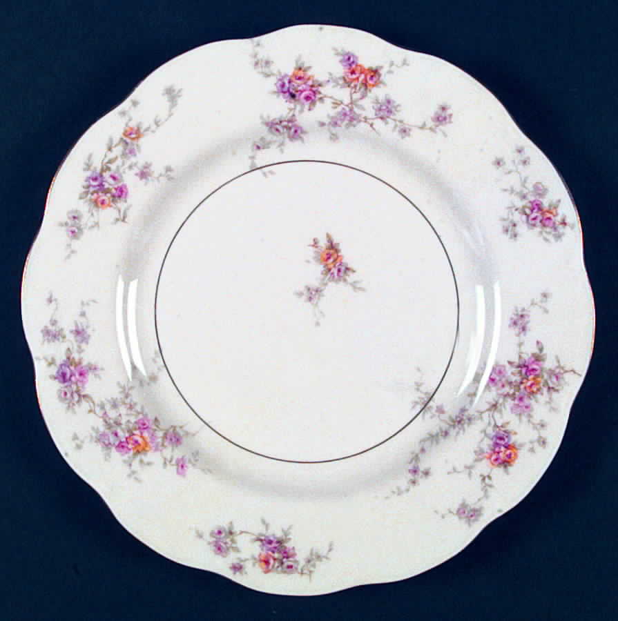 H1047 Dinner Plate by Haviland-1