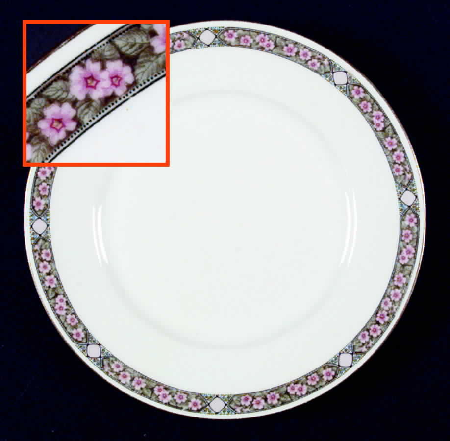 HUT765 Salad Plate by Hutschenreuther-1