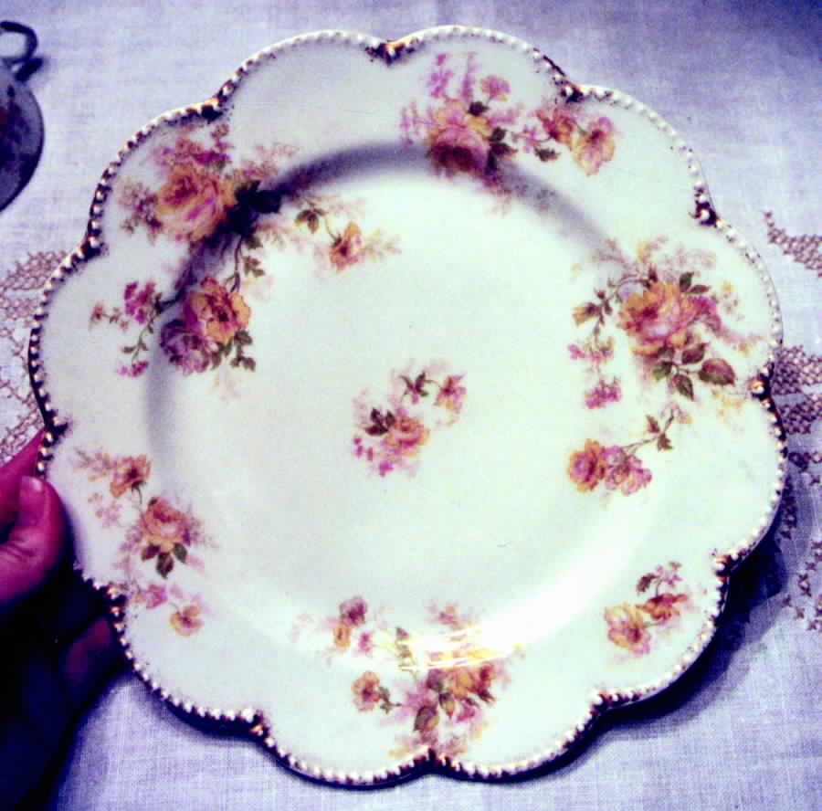 H1122 Dinner Plate by Haviland-1