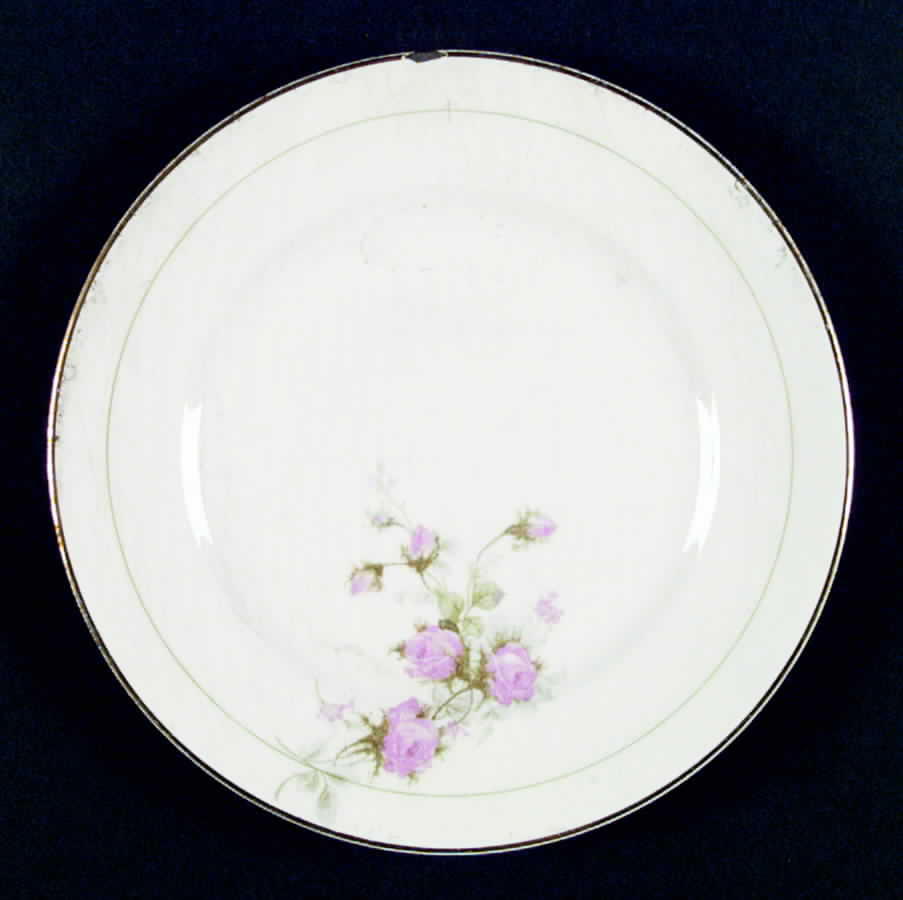 E4904 Dinner Plate by Homer Laughlin -1