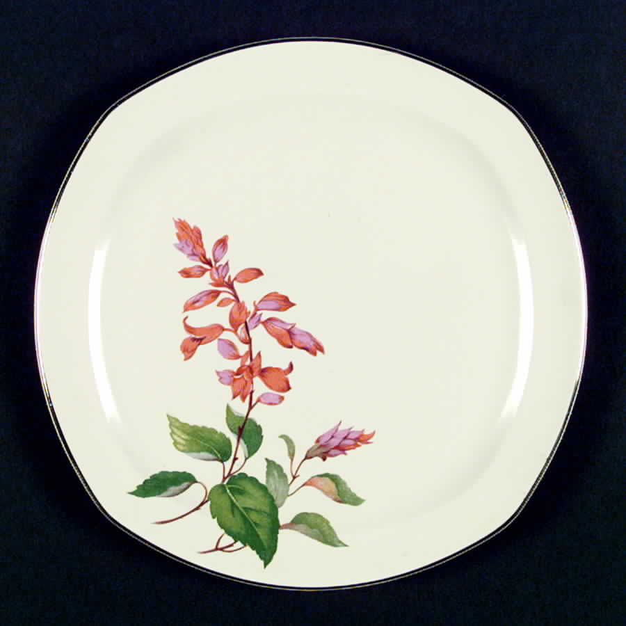J44 Dinner Plate by Homer Laughlin -1