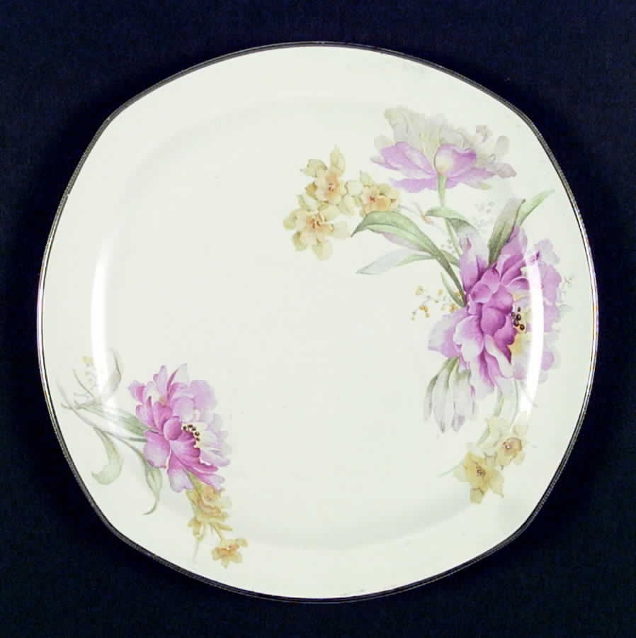 J9 Dinner Plate by Homer Laughlin -1