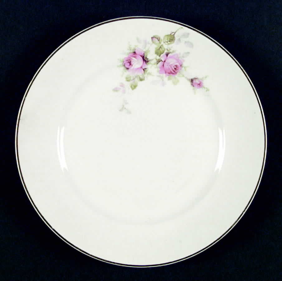 E7104 Dinner Plate by Homer Laughlin -1