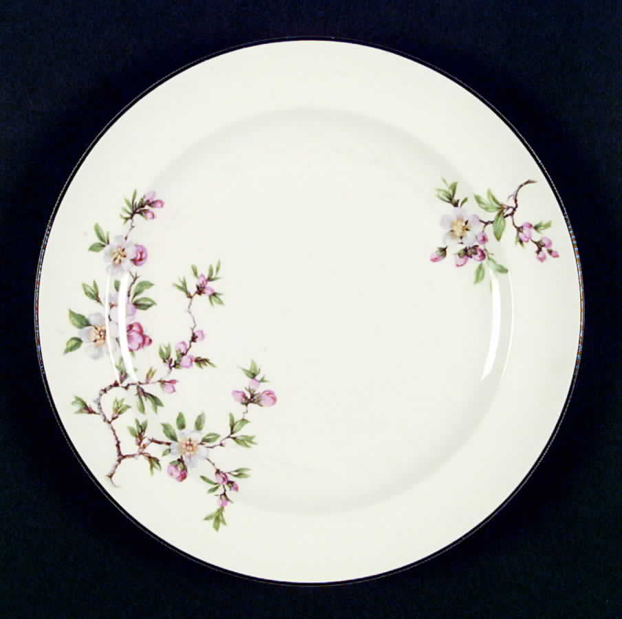 FW12 Dinner Plate by Homer Laughlin -1