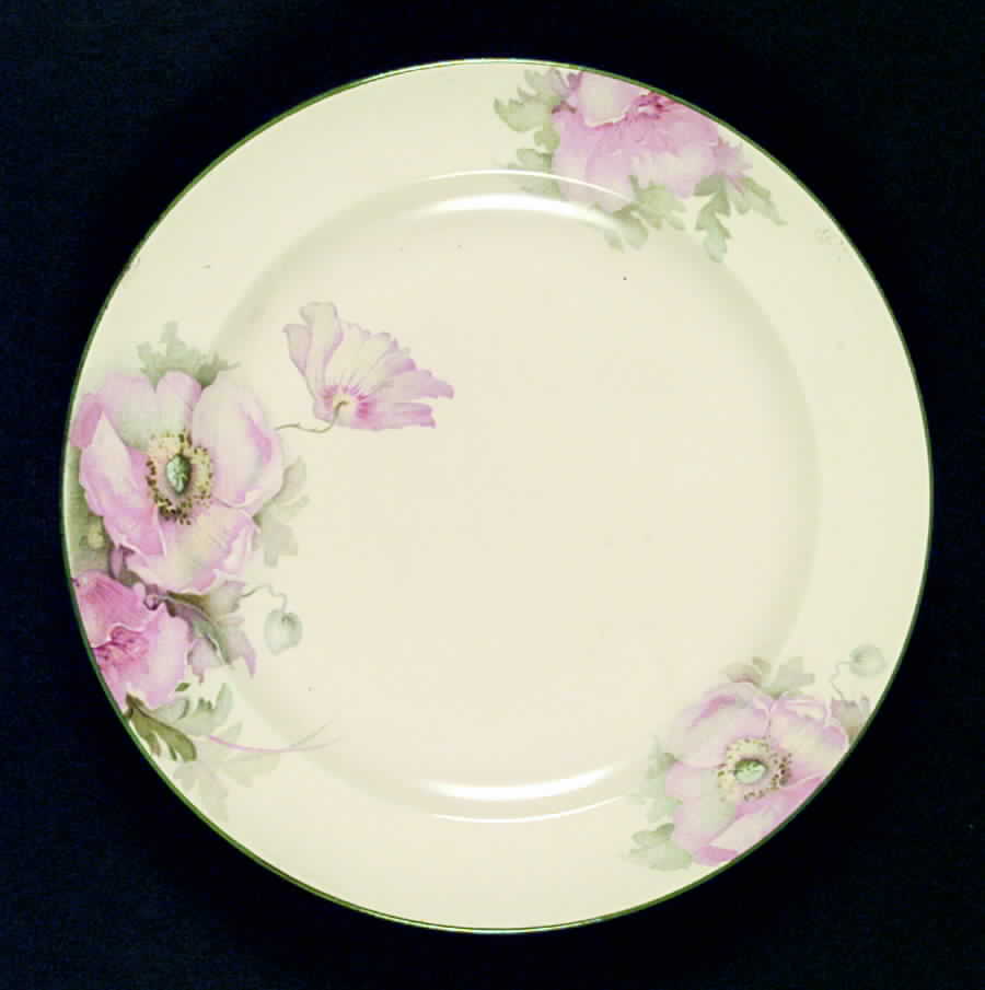 W6333 Dinner Plate by Homer Laughlin -1