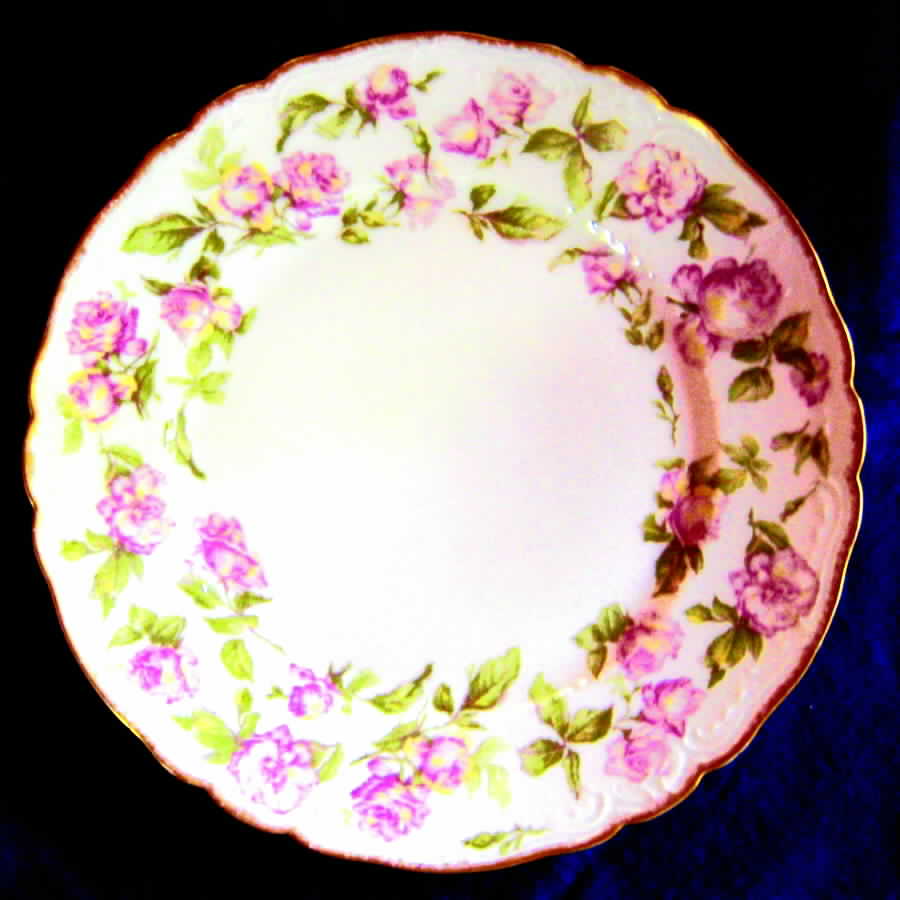 H1127 Dinner Plate by Haviland-1