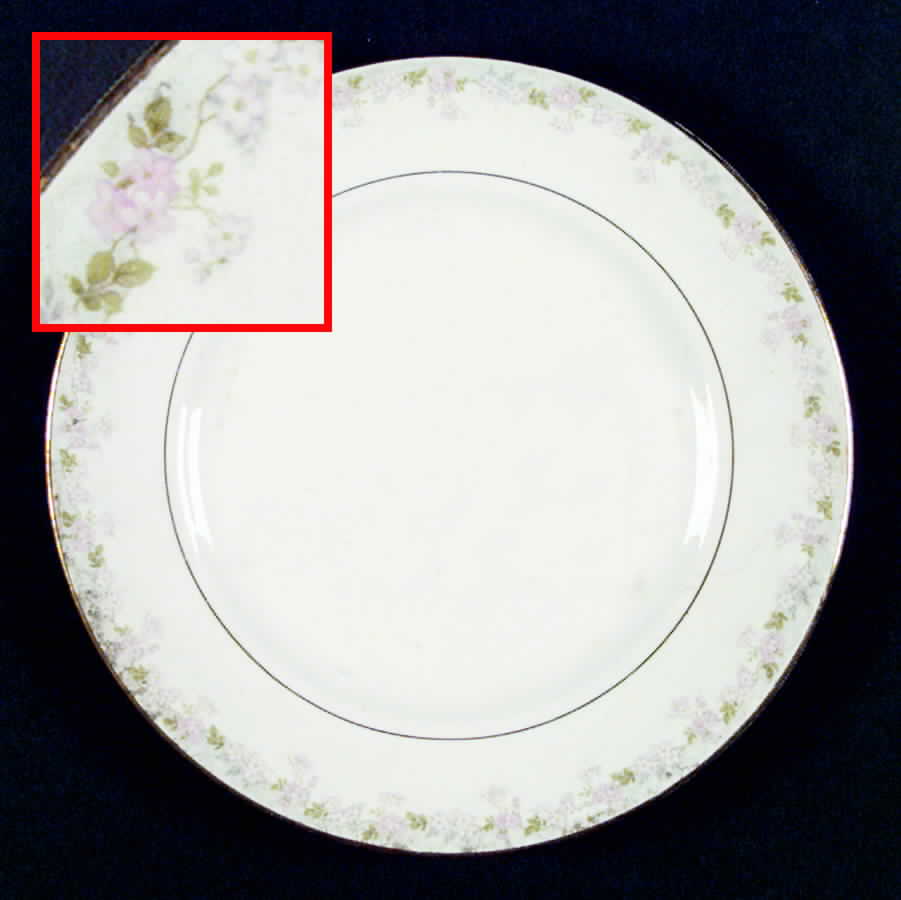 E3006 Dinner Plate by Homer Laughlin -1