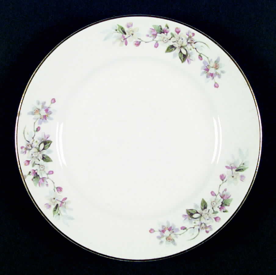 E7504b Dinner Plate by Homer Laughlin -1