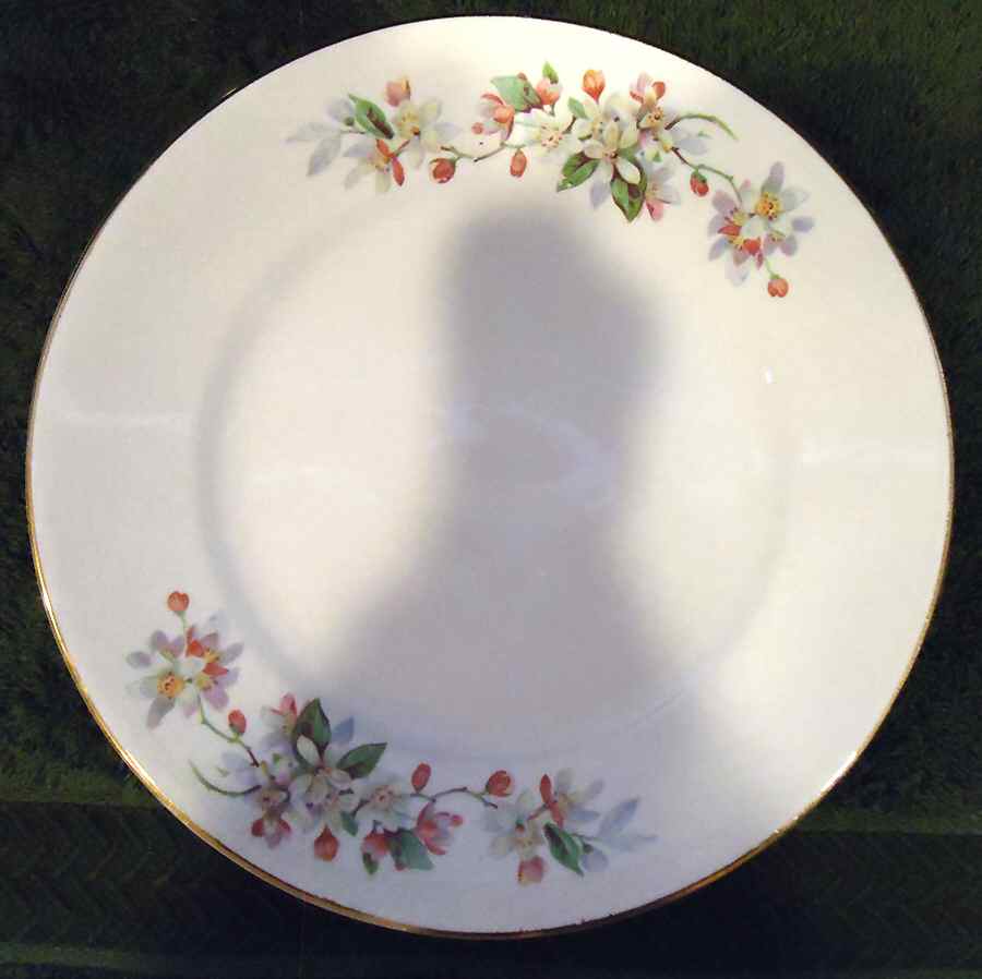 E7504b Salad Plate by Homer Laughlin -1