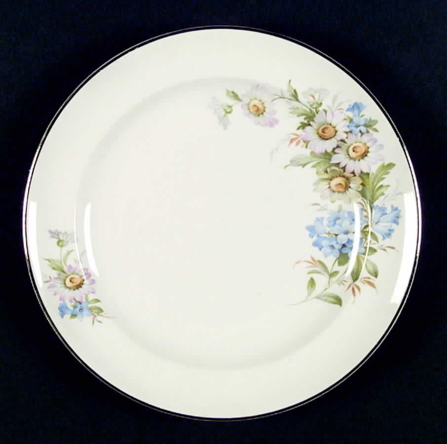 W2643 Dinner Plate by Homer Laughlin -1