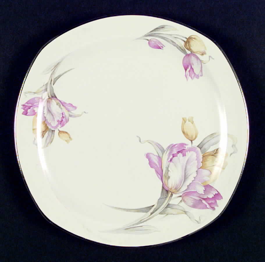 J3 Dinner Plate by Homer Laughlin -1