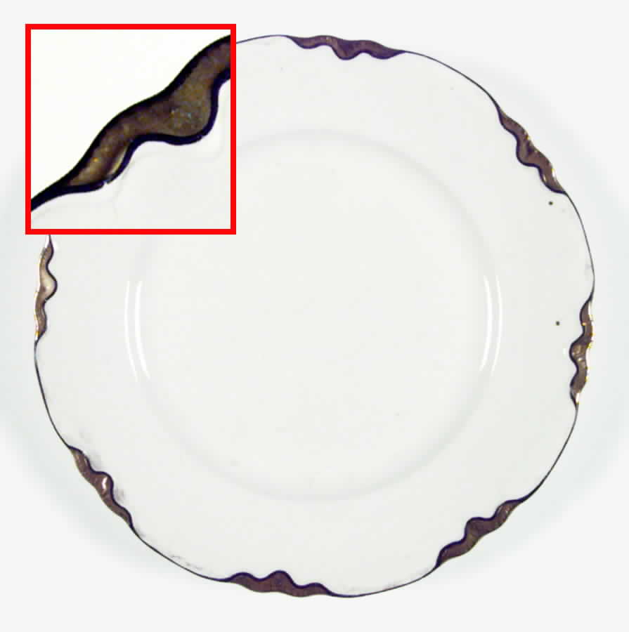 R3202 Dinner Plate by Homer Laughlin -1