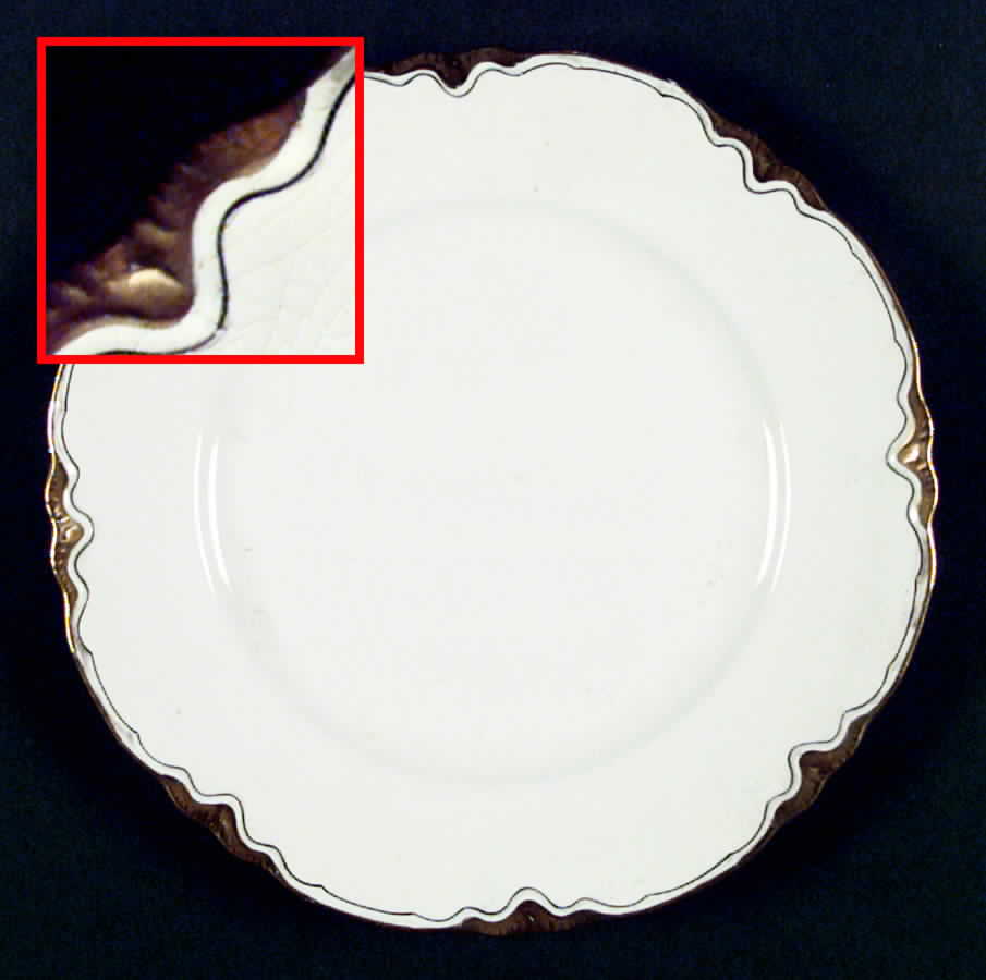 R3402 Dinner Plate by Homer Laughlin -1