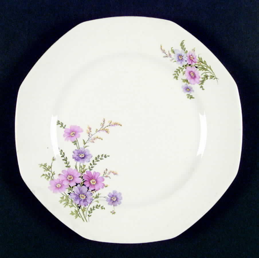 Y137 Dinner Plate by Homer Laughlin -1