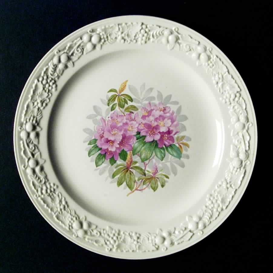 R6101 Dinner Plate by Homer Laughlin -1