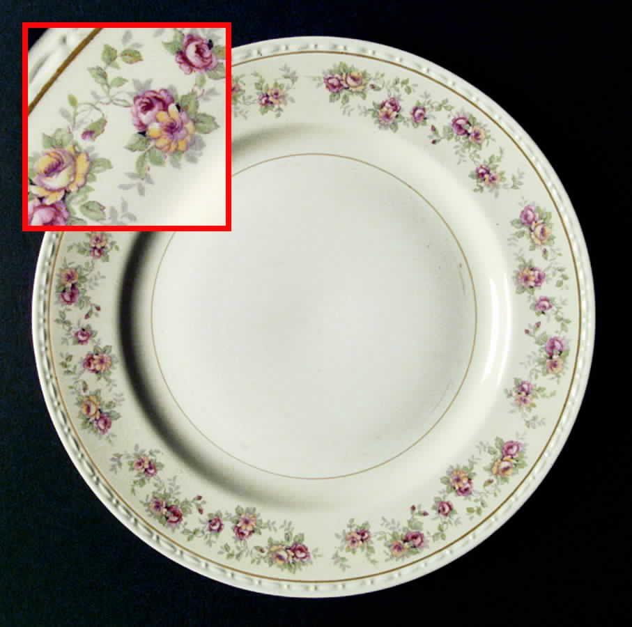G3366 Dinner Plate by Homer Laughlin -1