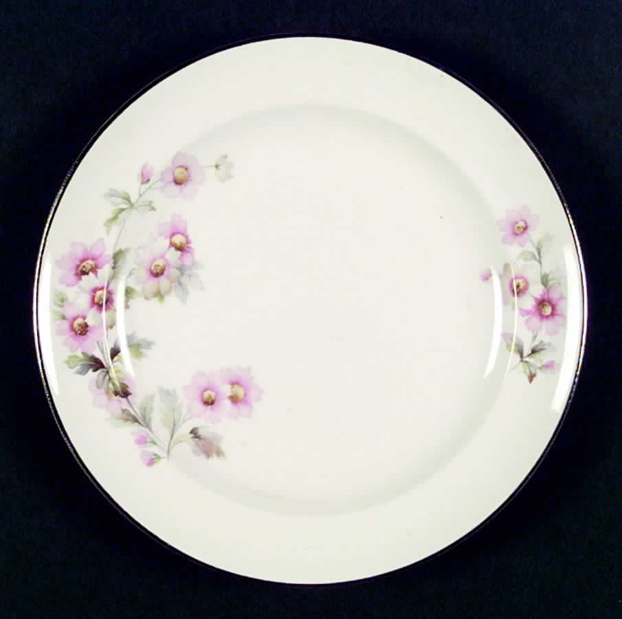 W2543 Dinner Plate by Homer Laughlin -1