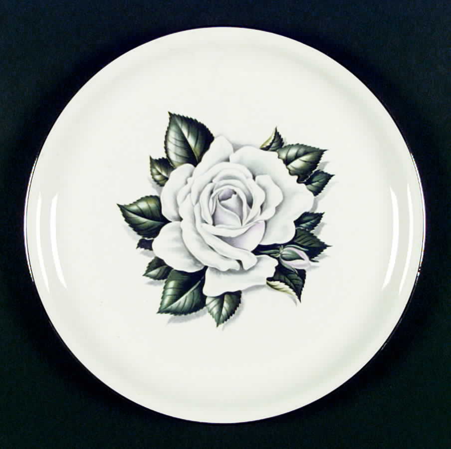D11 Dinner Plate by Homer Laughlin -1