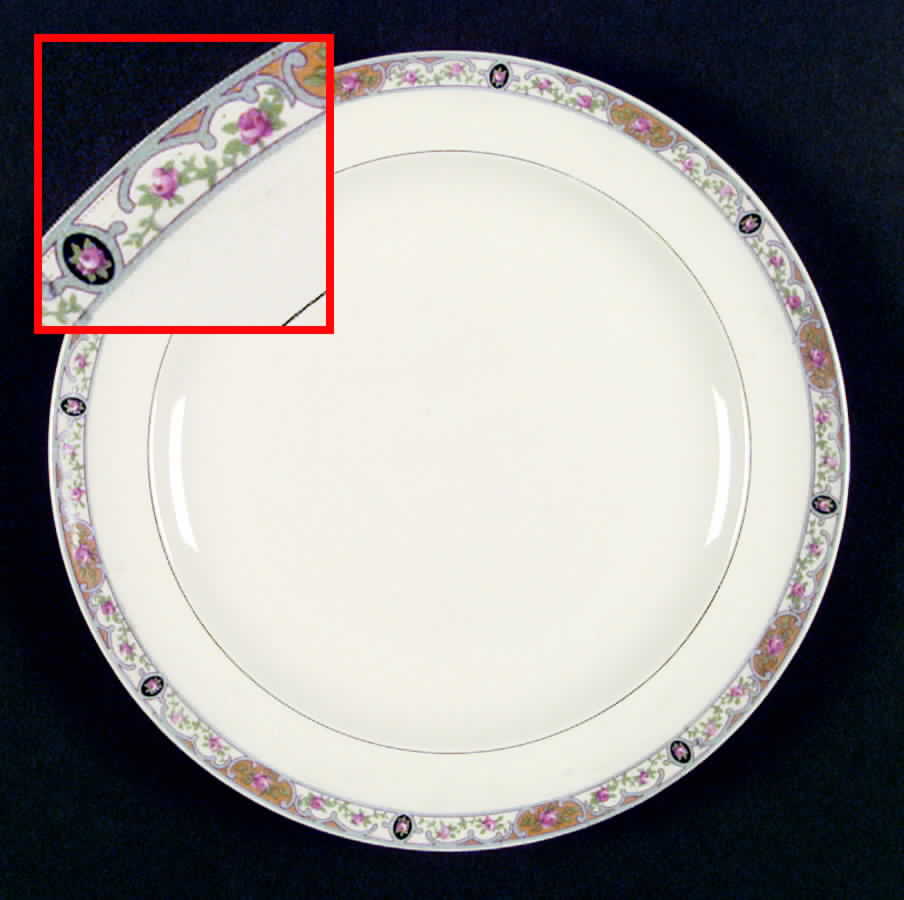 W8377 Dinner Plate by Homer Laughlin -1