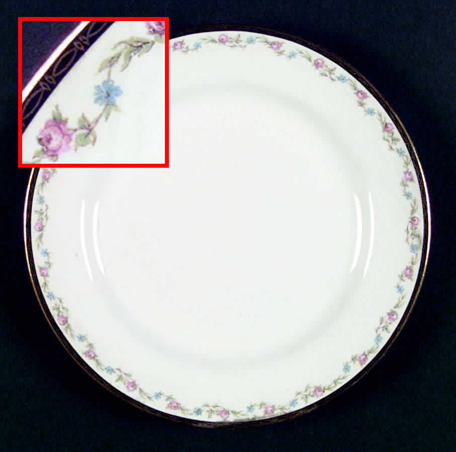 G4205 Dinner Plate by Homer Laughlin -1