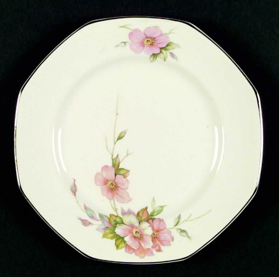 Wild Rose Platinum Dinner Plate by Homer Laughlin -1