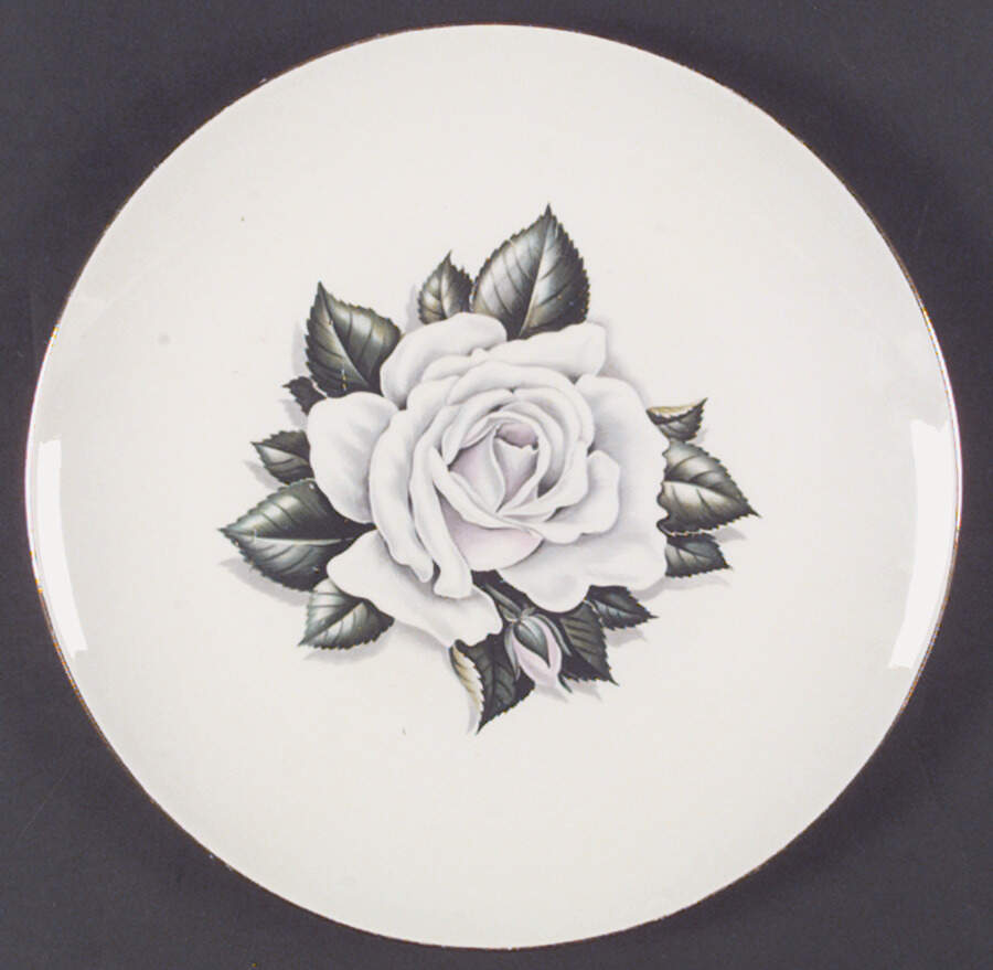 RY110 Dinner Plate by Homer Laughlin -1