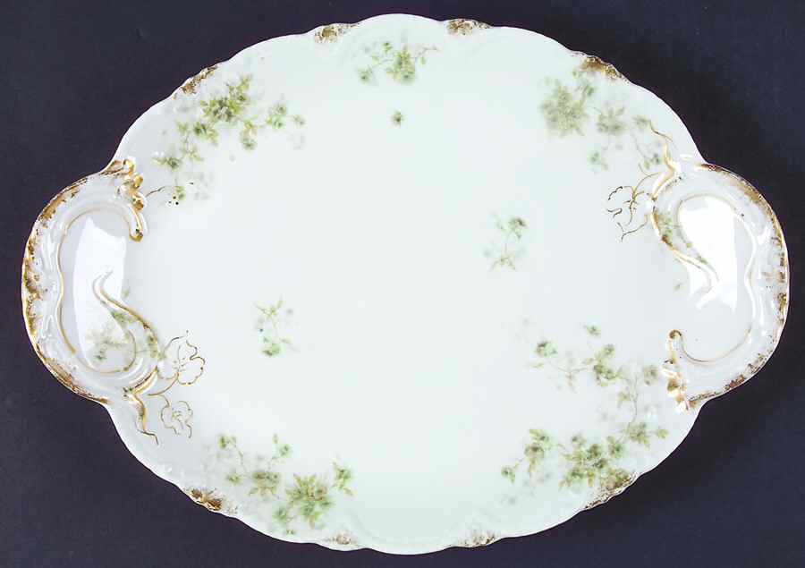 Schleiger 150I 14" Oval Serving Platter by Haviland-1