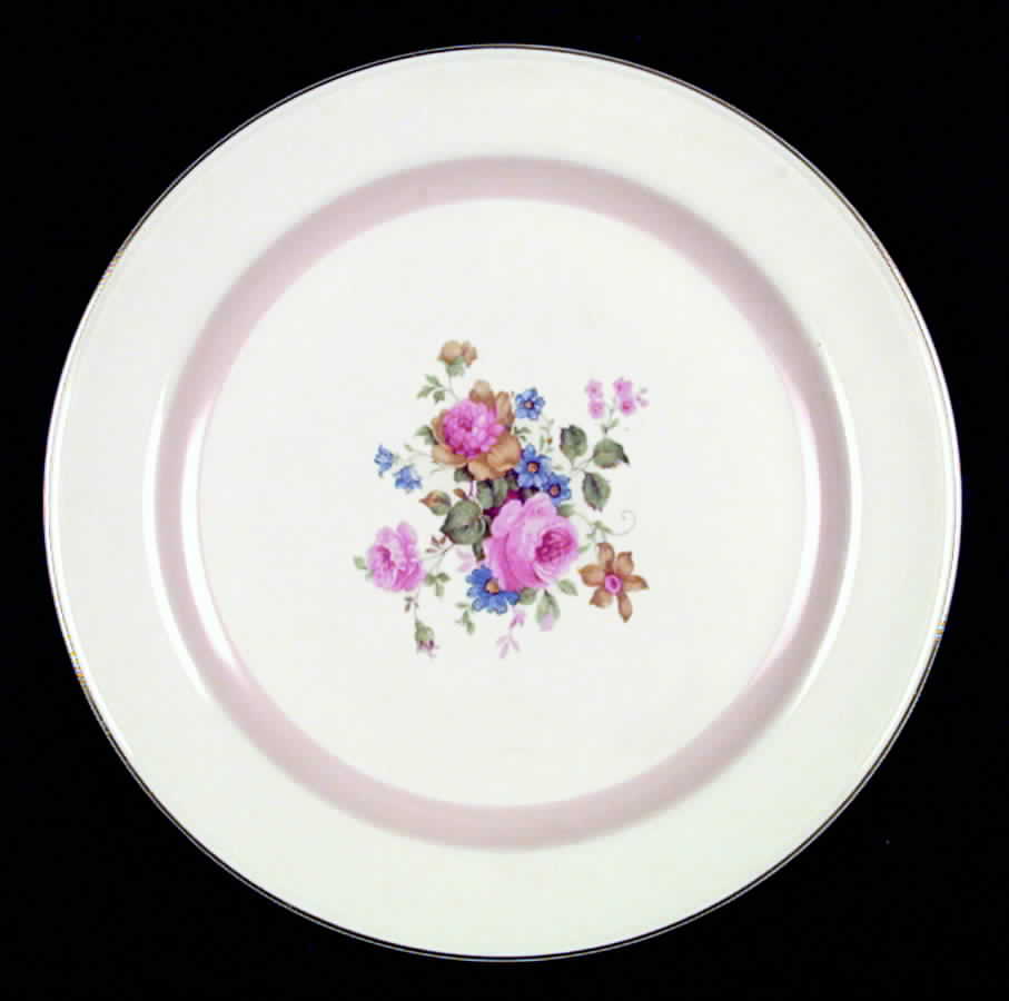 HLC1064 Dinner Plate by Homer Laughlin -1