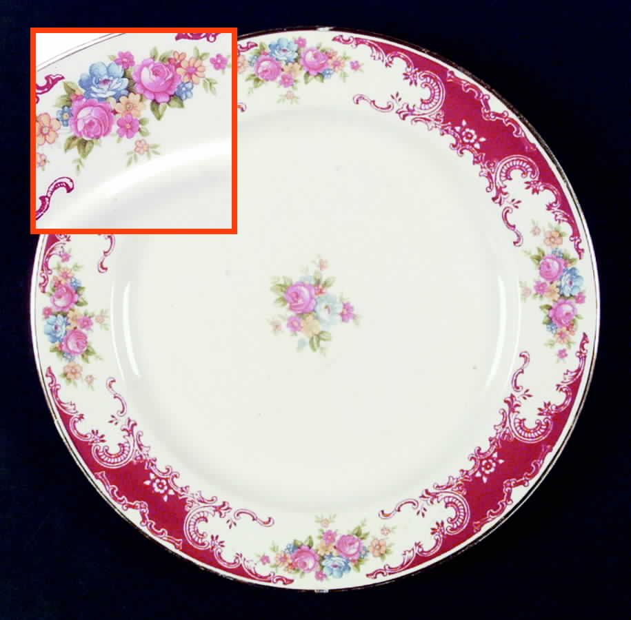 B1350 Dinner Plate by Homer Laughlin -1